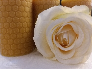 Rose_