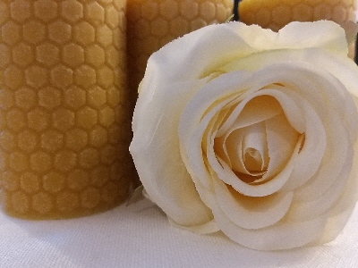 Rose_